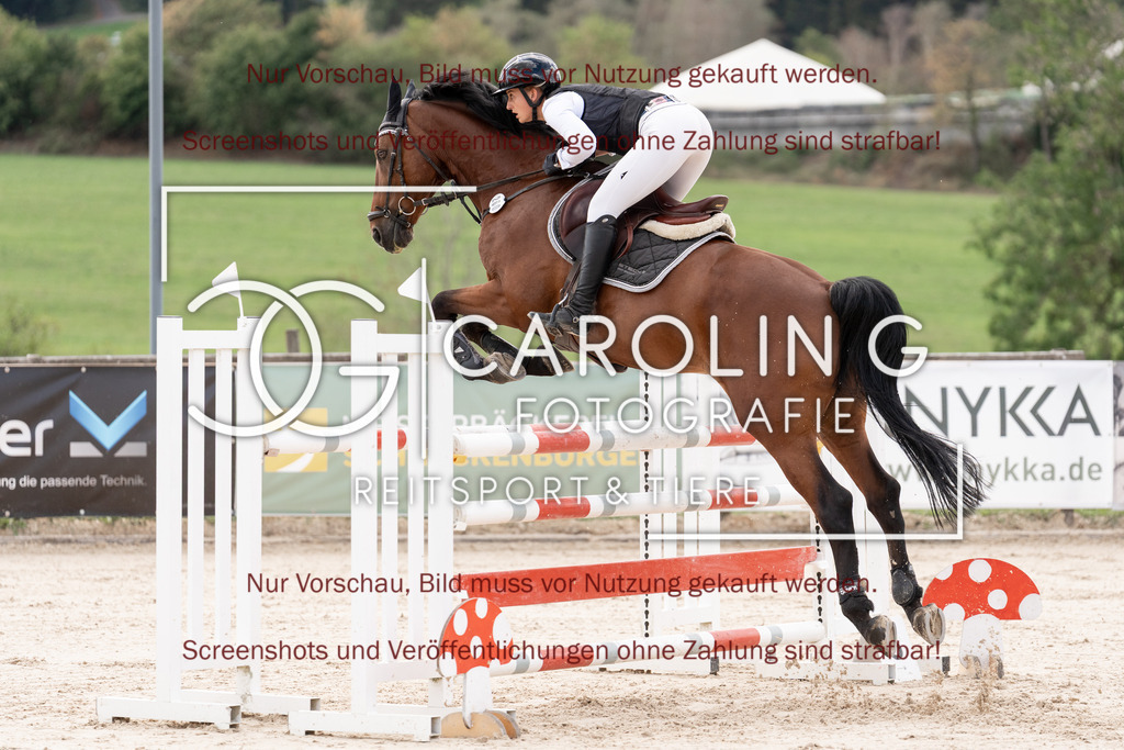 DSC06620 | Springturnier_Teamchallege_Talheim_2026, Thiana_Jacobs, Nemo_428