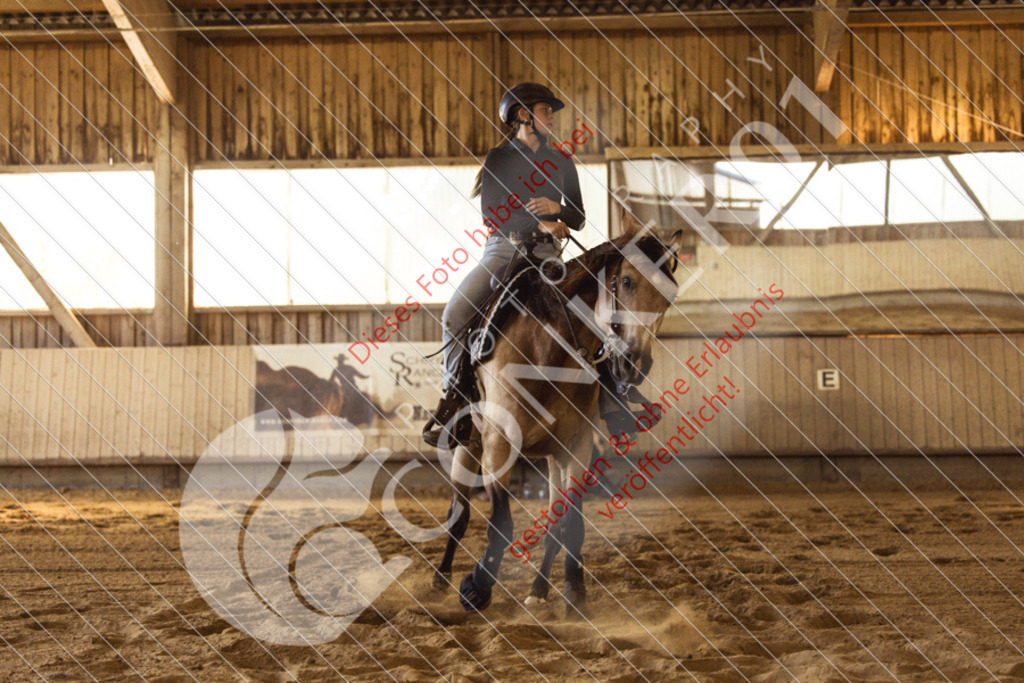 IMG_5089 | Sport-, Event- und Tierfotos in Profiqualität. Einfach auswählen, bestellen und herunterladen. Dein Moment – perfekt festgehalten.