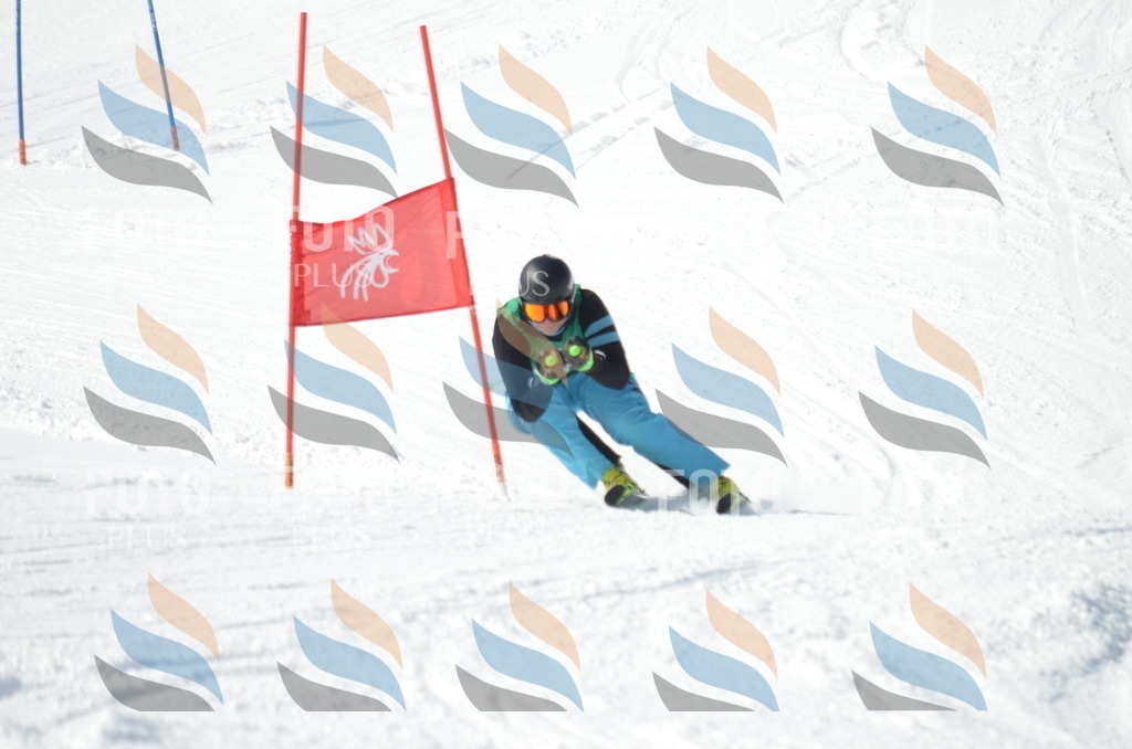 D9206 | holidayphoto