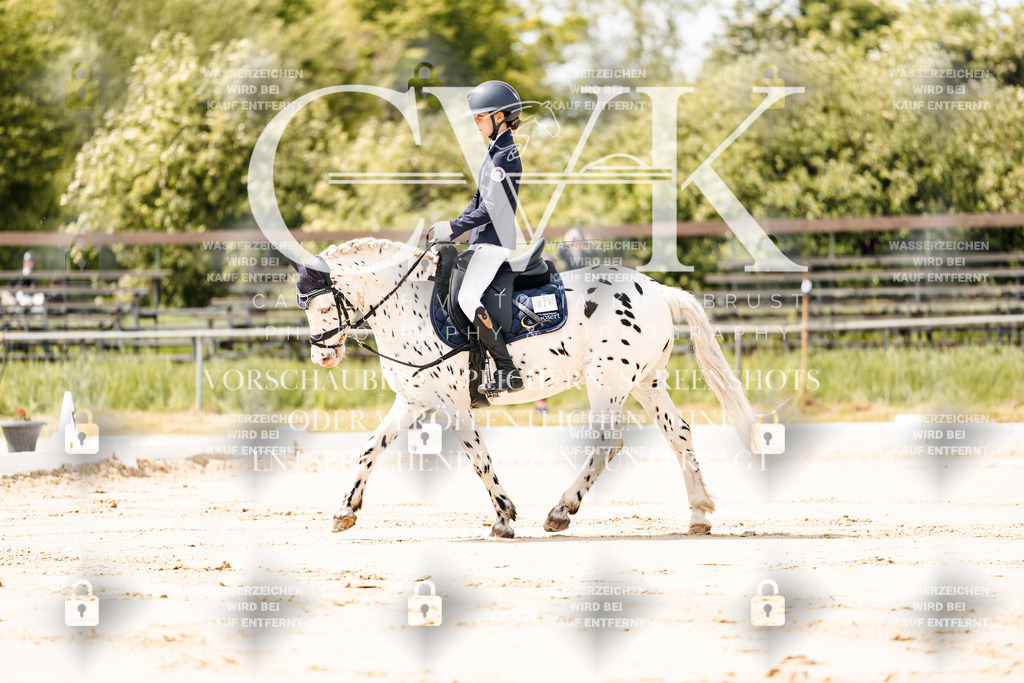 CK901686 | Turnierfotografie Pferdefotografie Trier Rheinland-Pfalz Pferdesport Reitsport Tierfotografie Sportfotografie Pferdevideo Pferdevideografie Equestrianvideography equestrianphotography  - Realisiert mit Pictrs.com