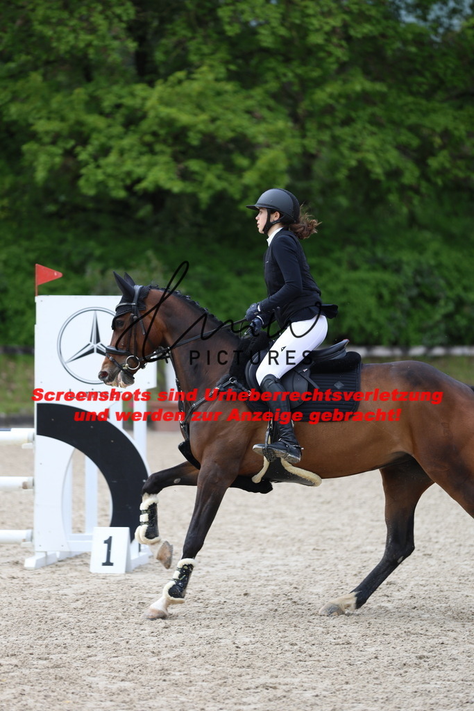 A40A2042 | lmwpictures - Realisiert mit Pictrs.com