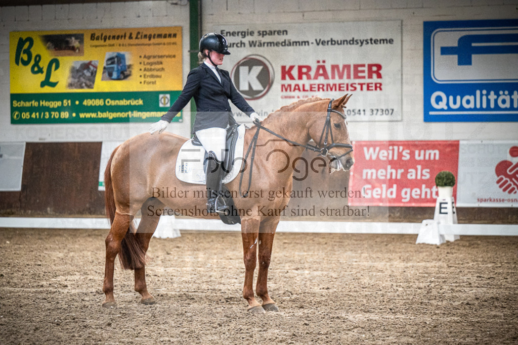 DOS_0568 | Entdecke hochwertige Reitturnierfotos von Foto Oger. Professionell, emotional und authentisch – jetzt Lieblingsmomente im Shop bestellen.Deutschlandweite Turnierfotografie. - Realisiert mit Pictrs.com