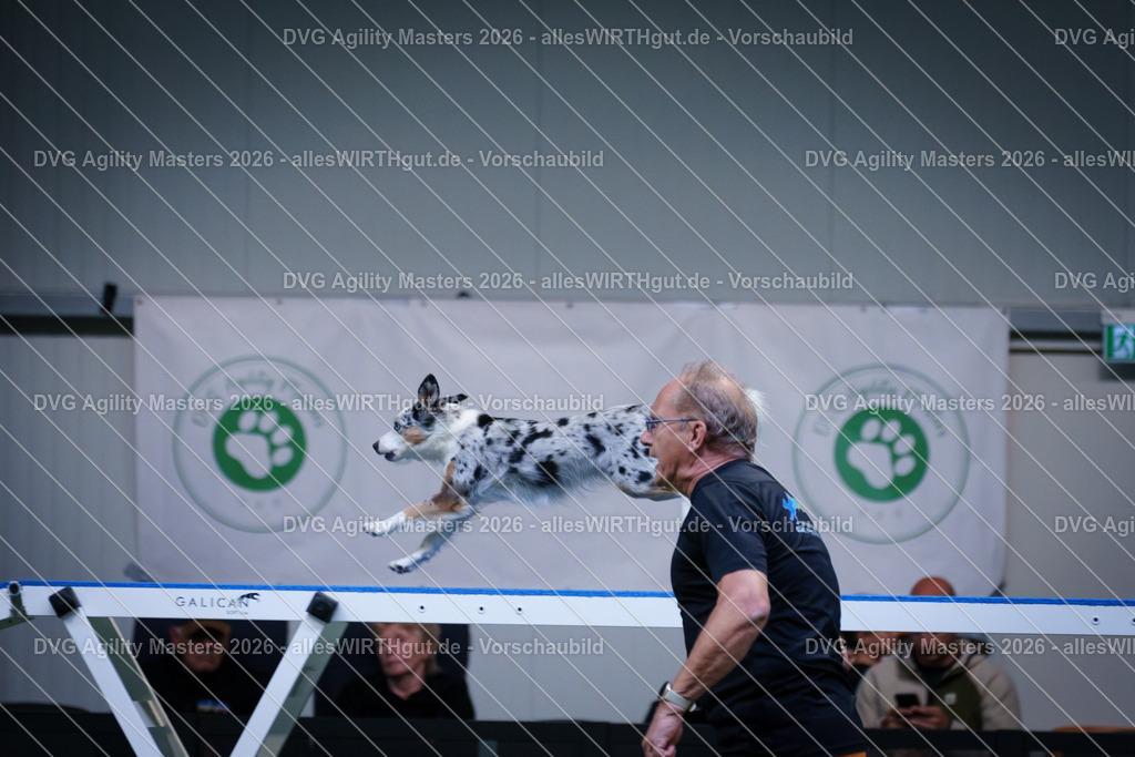 allesWIRTHgut_Tierfotografie-DVG_Agility_Masters_2026-14_40-7R505259 | Professionelle Tierfotografie in Mönchengladbach von Daniel Wirth (allesWIRTHgut). Liebevolle & natürliche Bilder von Hunden & Katzen für unvergessliche Erinnerungen.