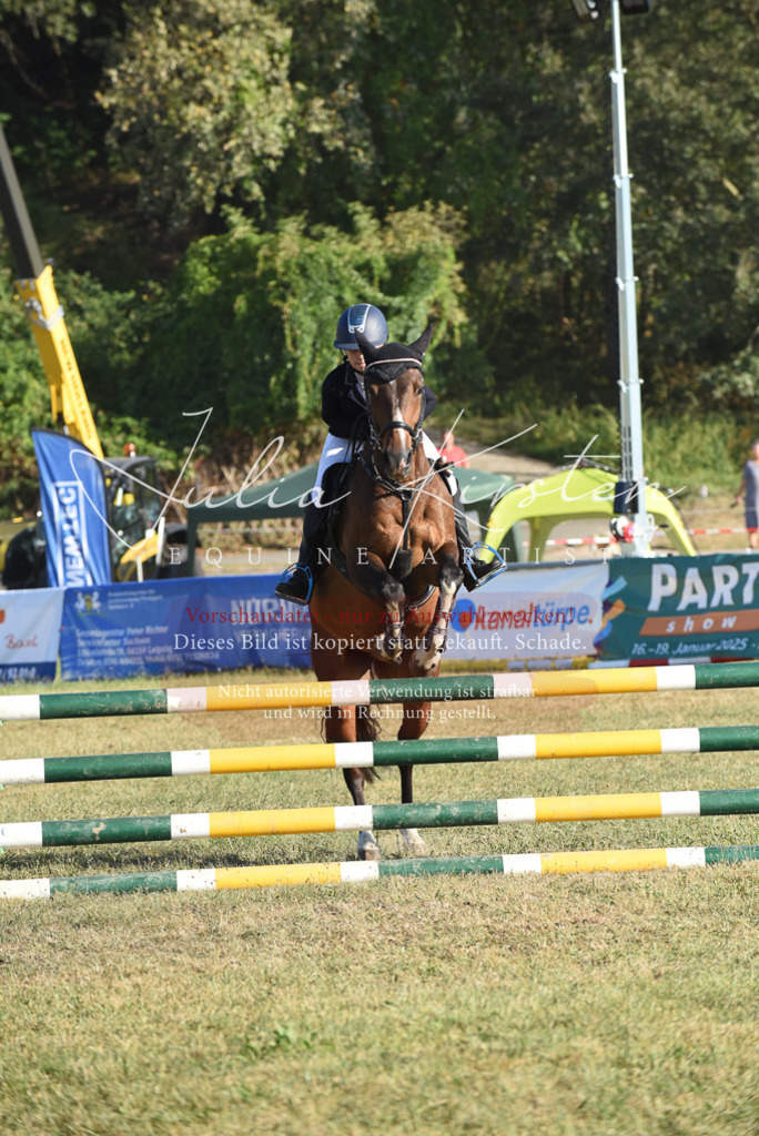 DSC_5099 | Pferde- und Turnierfotografie in Westsachsen. Pferdeportraits, Auftragszeichnungen und intuitive Kunst.