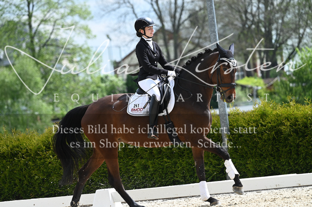 20230512_JK-Röhrsdorf-03-120 | Pferde- und Turnierfotografie in Westsachsen. Pferdeportraits, Auftragszeichnungen und intuitive Kunst.