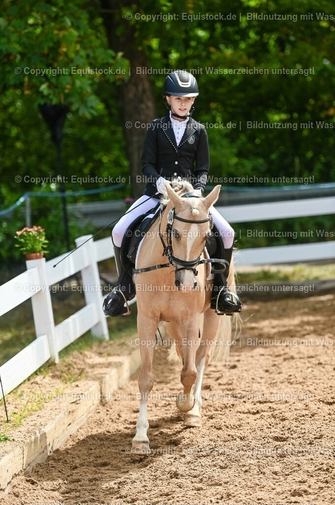20230716_10-3_Reiter-WB Schritt - Trab - Galopp_0117 | equistock