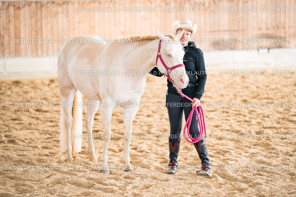 DSC01136 | Pferdegrafie