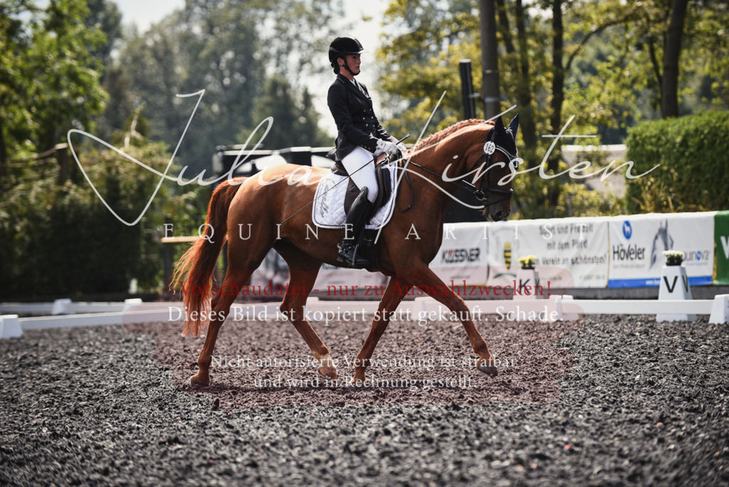 DSC_4073 | Pferde- und Turnierfotografie in Westsachsen. Pferdeportraits, Auftragszeichnungen und intuitive Kunst.