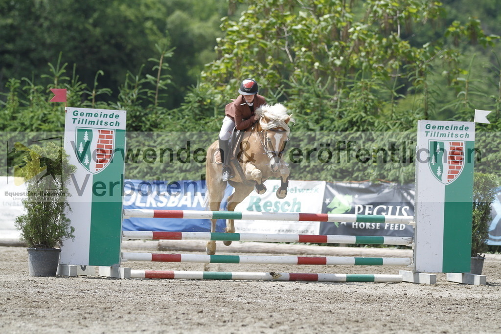 _MG_5538 | equestrian-live-com