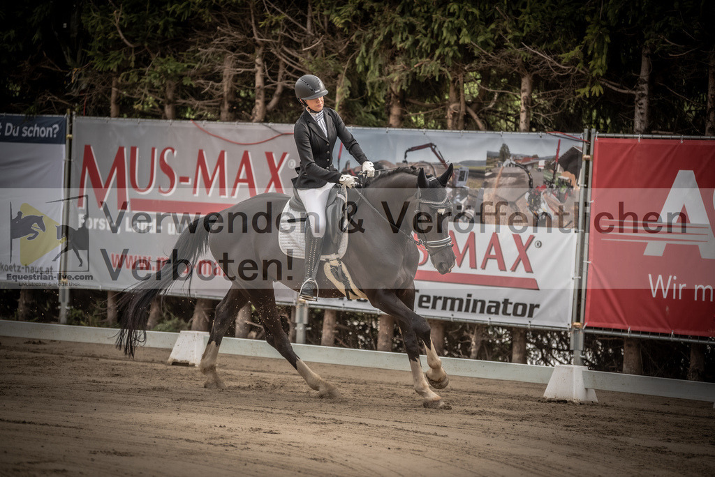 DSC_8227 | equestrian-live-com