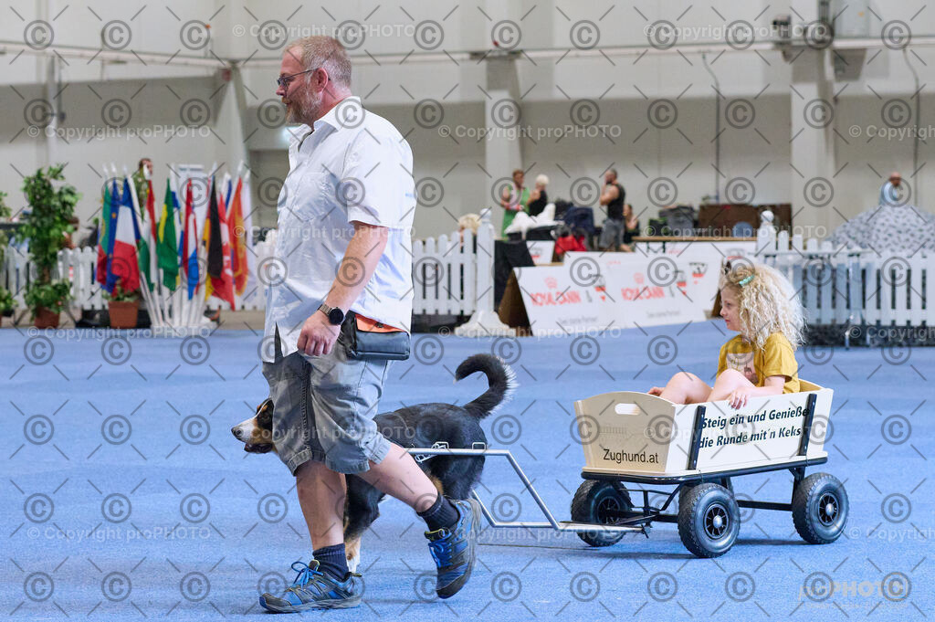 202406_ÖKV-IHA-Tulln24_DSC_4659 | proPHOTO - Realisiert mit Pictrs.com