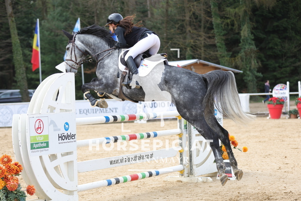 0P6A5156 | Willkommen bei Brunnmayr - Design & Fotografie – Ihrem Spezialisten für Reitturniere und Pferdeveranstaltungen in Oberösterreich, Salzburg und Bayern! Seit über 17 Jahren sind wir leidenschaftlich dabei.