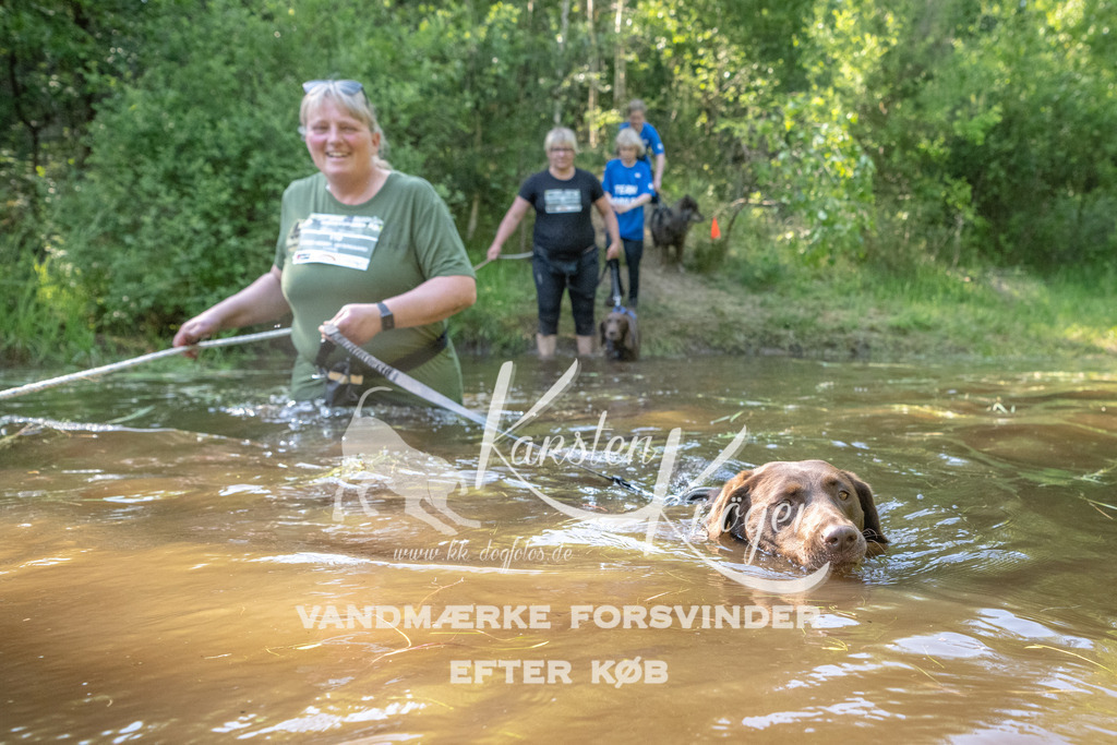 1709DKK991738 | kk-dogfotos