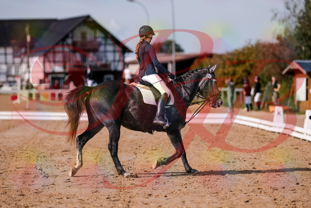 2026_10_03_Siefer-Hof_120042_Z81_02832424 | Professionelle Reitsport-, Turnier- und Eventfotografie von Robert Broda. Galerien mit ausgewählten und bearbeiteten Bildern direkt online ansehen und bestellen.