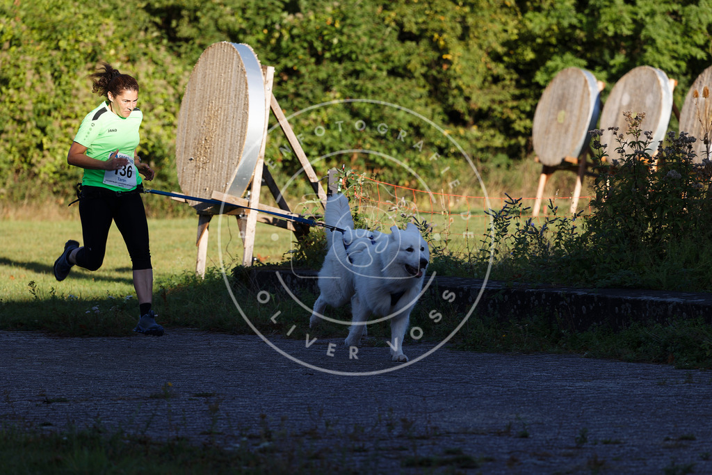 0L8A4807 | Hundefotografie, Tierfotograf, Pfotenfotografie, Fotoshooting Hund, Hunde Portrait, Hundesport, Hundeportraits, Heideshooting, Hunde, Sportfotograf, Hundefotograf, Turnierhundsport, THS,  - Realisiert mit Pictrs.com
