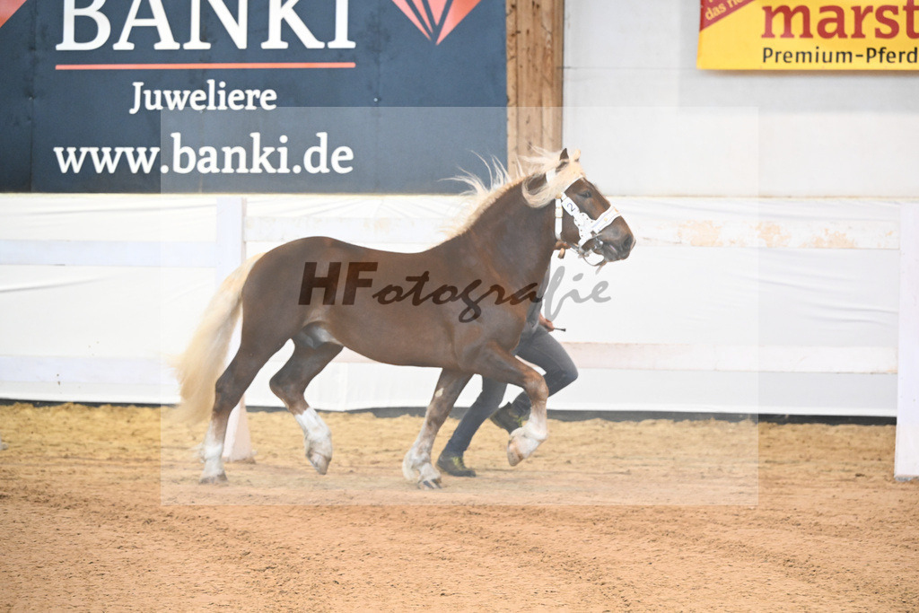 Kat-Nr. 2 v. Sribery_Kotz_6240013 | hf-fotografie - Realisiert mit Pictrs.com