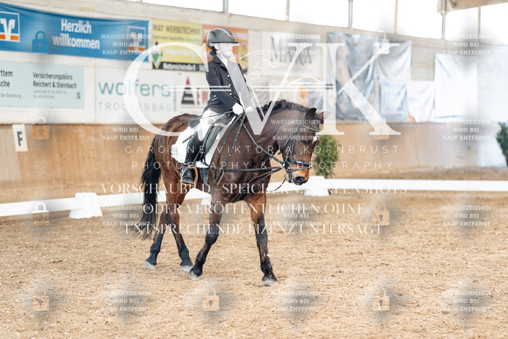 CK900539 | Turnierfotografie Pferdefotografie Trier Rheinland-Pfalz Pferdesport Reitsport Tierfotografie Sportfotografie Pferdevideo Pferdevideografie Equestrianvideography equestrianphotography  - Realisiert mit Pictrs.com