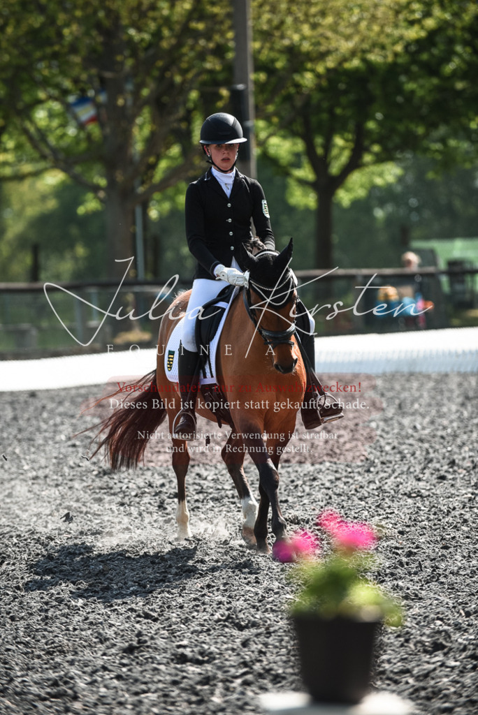 DSC_8990 | Pferde- und Turnierfotografie in Westsachsen. Pferdeportraits, Auftragszeichnungen und intuitive Kunst.