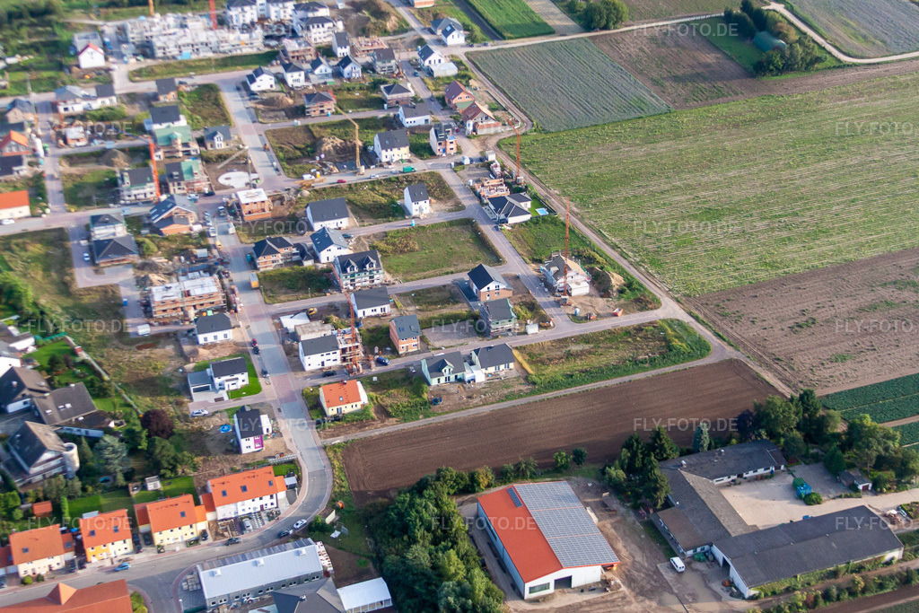 Luftbild: Neubaugebiet Betheny-Allee im Ortsteil Schauernheim in Dannstadt-Schauernheim im Bundesland Rheinland-Pfalz in Deutschland. Foto: IMG_71217.jpg vom 27.08.2014 durch Werner Riehm/FLY-FOTO.de