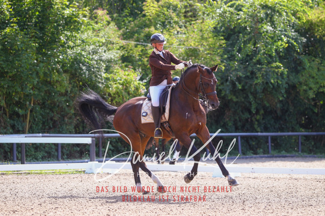 DKP41140 | Turniersportfotografie; Pferdefotografie; Dressurfotografie