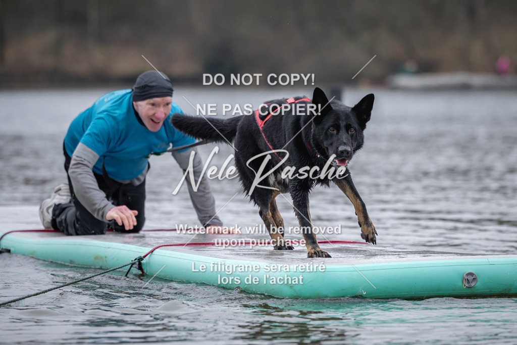 nelerasche_Hulsbeek_Sa1600-1700_315 | nelerasche