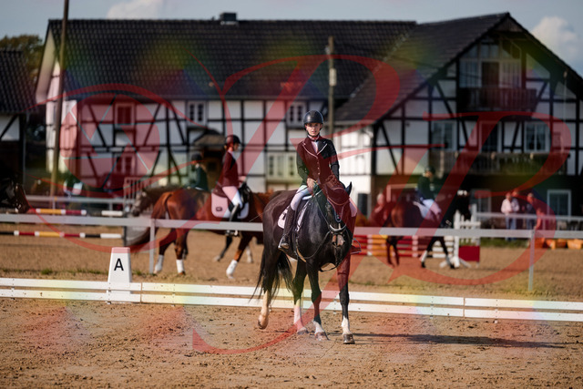 2026_10_03_Siefer-Hof_121810_Z63_41976453 | Professionelle Reitsport-, Turnier- und Eventfotografie von Robert Broda. Galerien mit ausgewählten und bearbeiteten Bildern direkt online ansehen und bestellen.