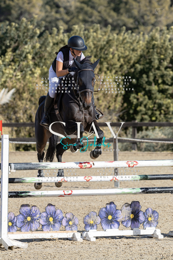 IMG_0127 | s-jay-photography - Realisiert mit Pictrs.com