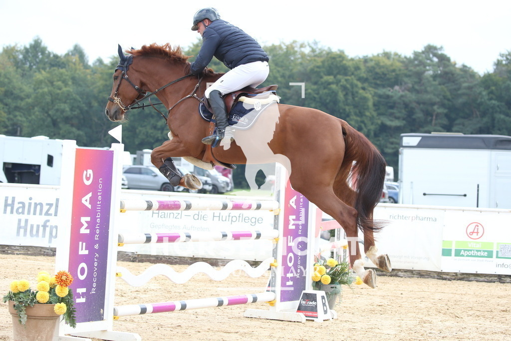 DL2Q4668 | Willkommen bei Brunnmayr - Design & Fotografie – Ihrem Spezialisten für Reitturniere und Pferdeveranstaltungen in Oberösterreich, Salzburg und Bayern! Seit über 17 Jahren sind wir leidenschaftlich dabei.