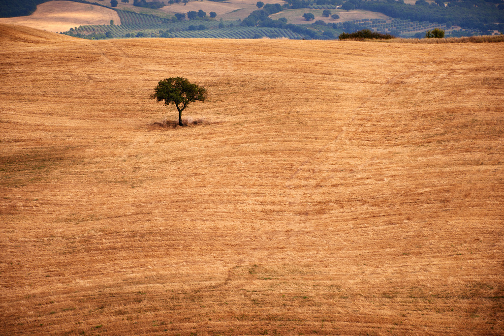 Landschaft in der Toskana | Crete, Italien - August 30, 2016: Landschaft in der Toskana. - Realisiert mit Pictrs.com
