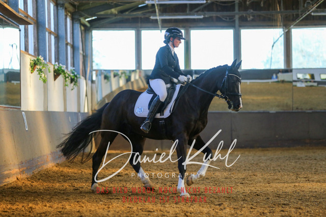 IMG_3276 | Turniersportfotografie; Pferdefotografie; Dressurfotografie