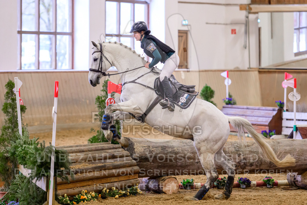 29032026-Schwaiganger-Prfg03-2-0866 | Fokus Hufschlag Fotografie - Realisiert mit Pictrs.com