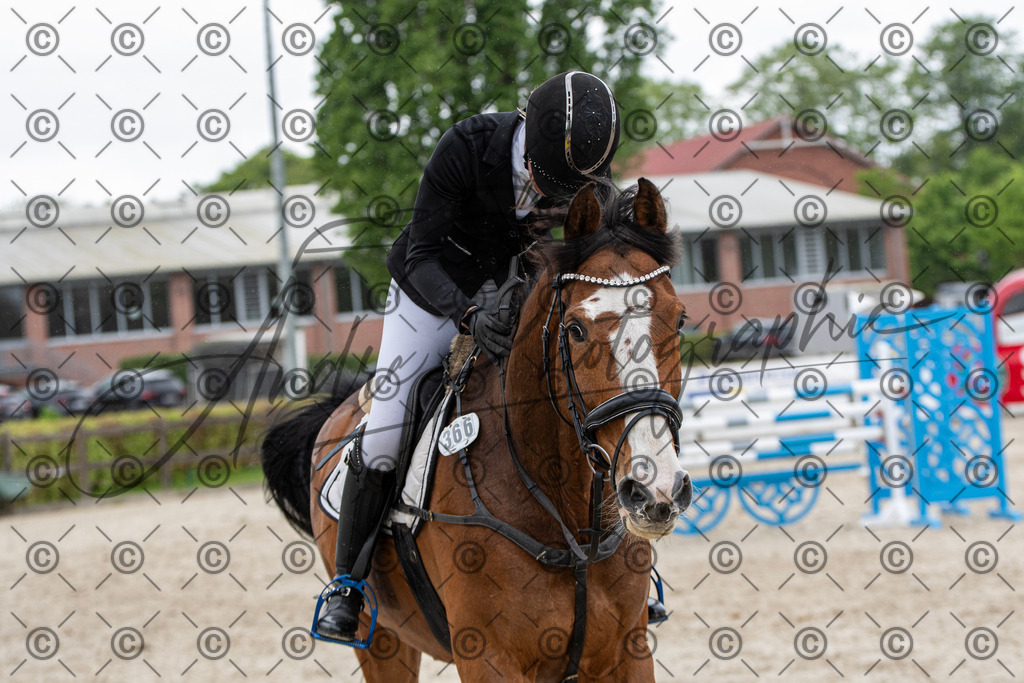 KPT_0105 | andre_photographic