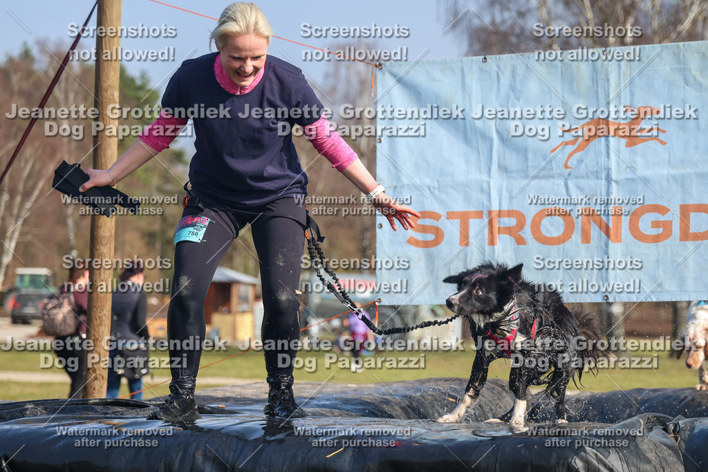 Dog Paparazzi - Strongdog North Mrz26-2639 | Dog Paparazzi Jeanette Grottendiek Fotografie & Videografie - Realisiert mit Pictrs.com