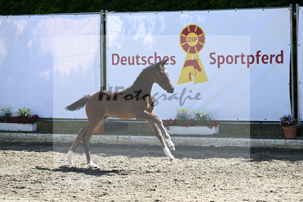 Kat-Nr. 14 HF DSP Feliciano_Pawlowski_12230504 | hf-fotografie - Realizzato con Pictrs.com