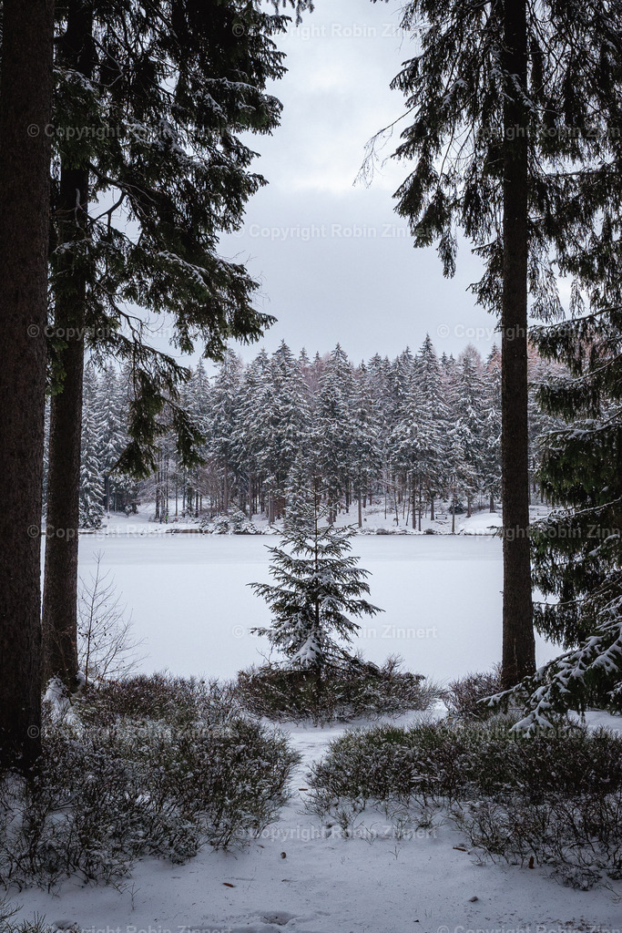 Fichtelsee_Winter00001 | Robin Zinnert - Realisiert mit Pictrs.com