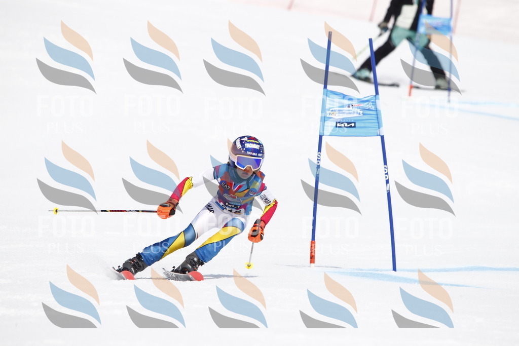 _U3G5546 | holidayphoto