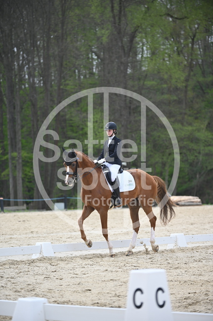 DSC_5156 | sattelsport - Realisiert mit Pictrs.com