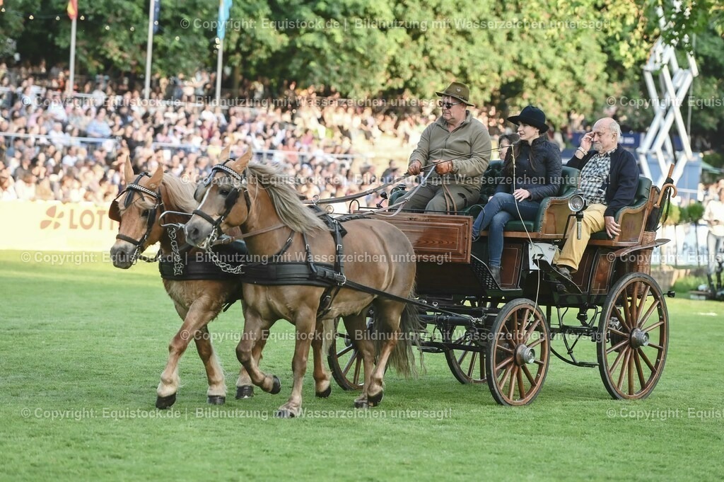 20230526_Pferdenacht_0165 | equistock