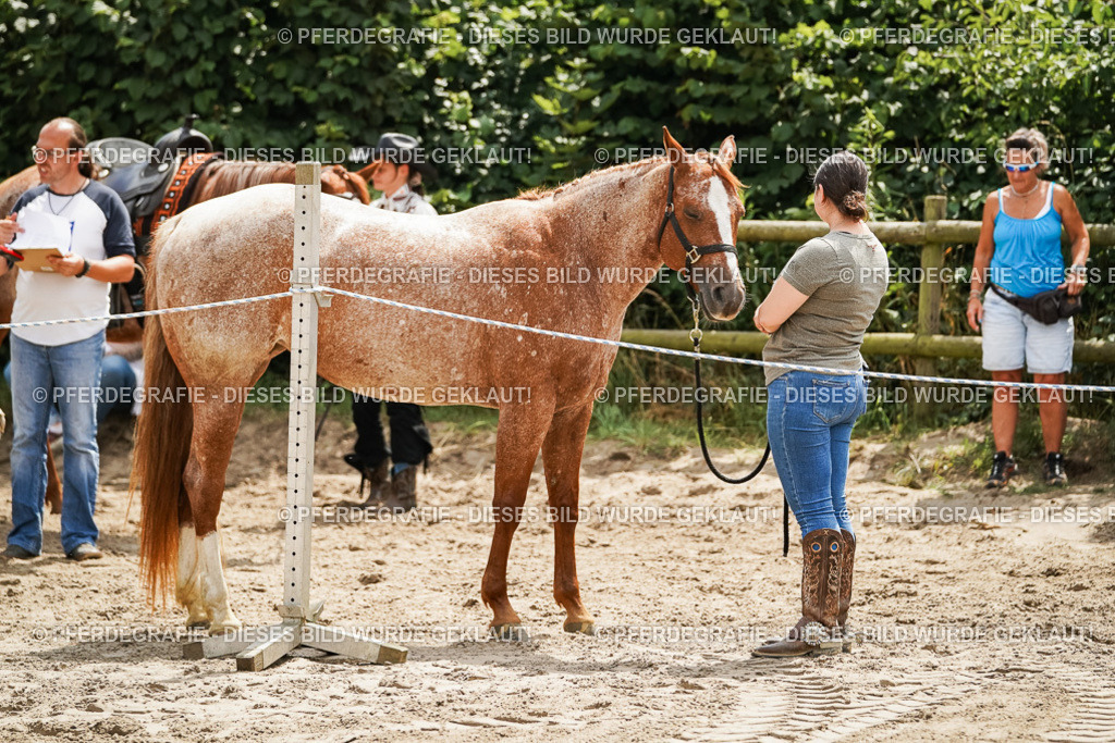 DSC08064 | Pferdegrafie