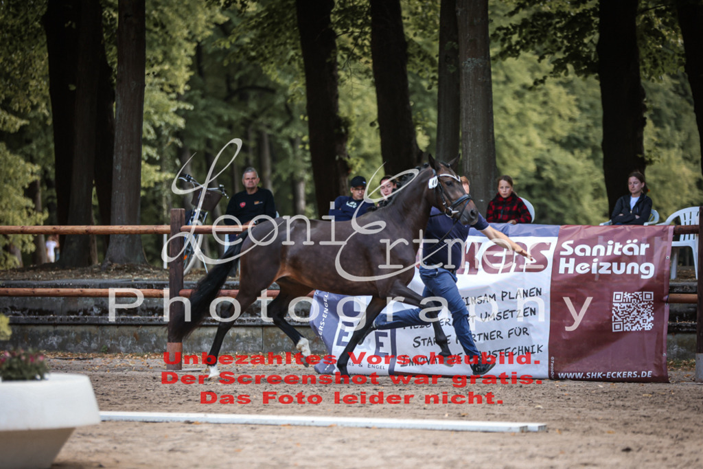 SoER00042 | Leoni Ertmer Photography - Realisiert mit Pictrs.com
