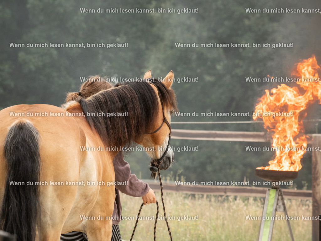 598A6438 | photographylinaismer - Realisiert mit Pictrs.com