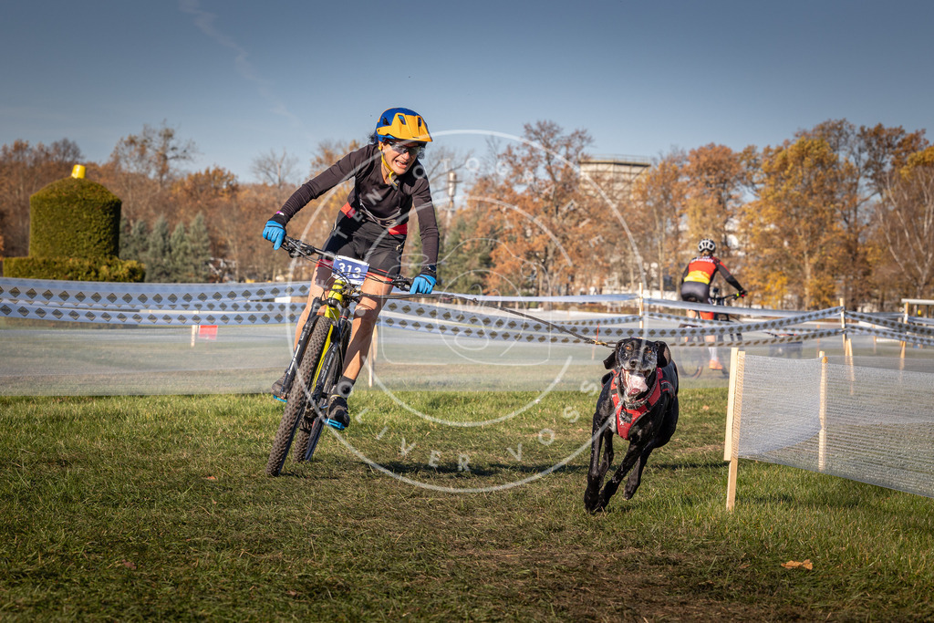 CaniXpix_0L8A5622 | Hundefotografie, Tierfotograf, Pfotenfotografie, Fotoshooting Hund, Hunde Portrait, Hundesport, Hundeportraits, Heideshooting, Hunde, Sportfotograf, Hundefotograf, Turnierhundsport, THS,  - Realisiert mit Pictrs.com