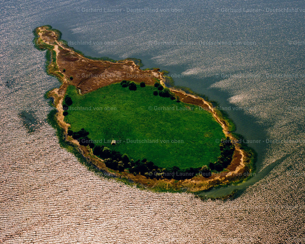 7000856 | Saaler BoddenNationalpark Vorpommersche Boddenlandschaft