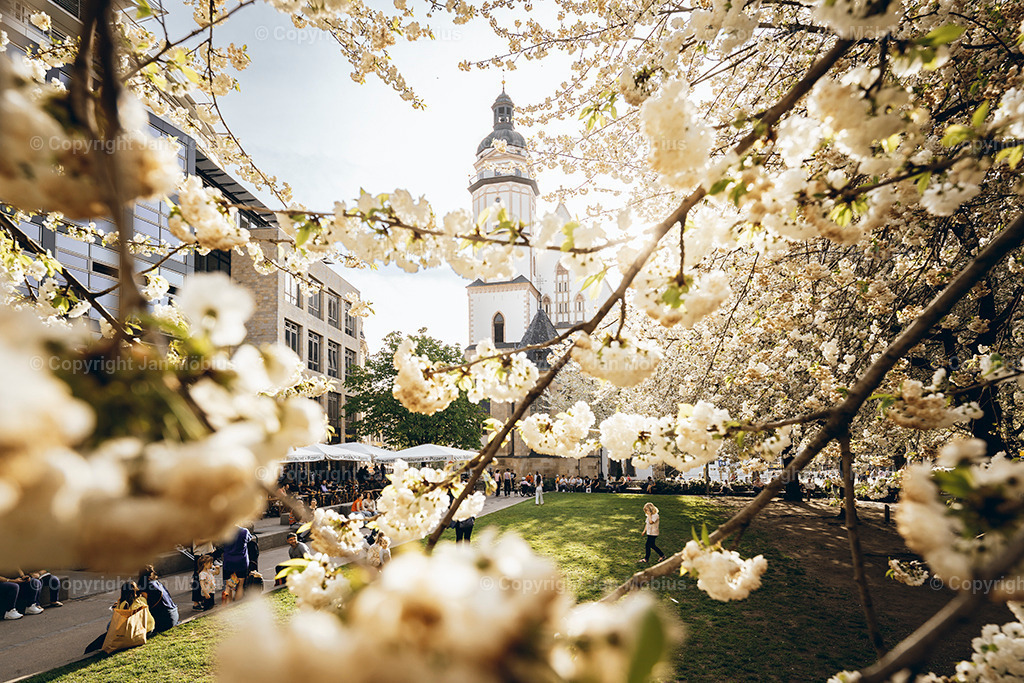 _DSC1474 | Leipzig Wandbilder Drucke Prints Leinwand Stadtmotive Leipzig Fotosdruck Kunstdrucke Bilder Leipzig Stadtansichten Acrylglasbilder Leipzig Wanddeko Fine Art Prints Wandbilder Büro Leipzig Bilder Praxis Zuhause Bilderdruck Poster Posterlounge Kunstdrucke - Realisiert mit Pictrs.com
