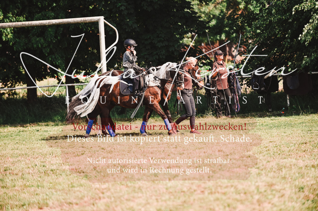 DSC_7329 | Pferde- und Turnierfotografie in Westsachsen. Pferdeportraits, Auftragszeichnungen und intuitive Kunst.