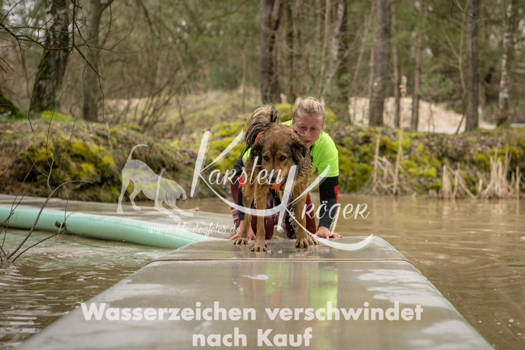 1017_ZZ92875 | kk-dogfotos