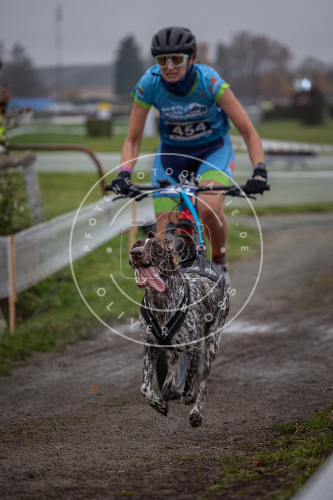 CaniXpix_0L8A1553 | Hundefotografie, Tierfotograf, Pfotenfotografie, Fotoshooting Hund, Hunde Portrait, Hundesport, Hundeportraits, Heideshooting, Hunde, Sportfotograf, Hundefotograf, Turnierhundsport, THS,  - Realisiert mit Pictrs.com