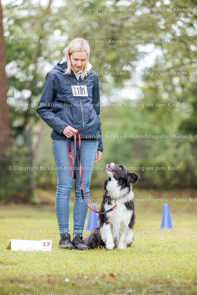 RO-Blumenthal-2026-Nickbest-Hundefotografie-5207 | Dein Hund! Dein Moment! Deine Erinnerungen! Hundefotografie in Bremen Blumenthal. Ich fange die besonderen Momente deines Vierbeiners ein – ob Indoor mit Blitzanlage oder in der freien Natur. Sicher dir dein Moment und dein Termin für eure Erinnerungen.