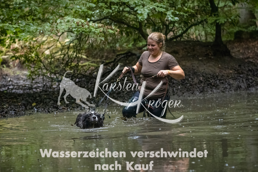 1156_ZZ90274-Bearbeitet-2 | kk-dogfotos