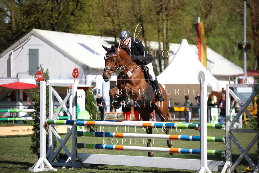 IMGT0494 | pl-fotografie